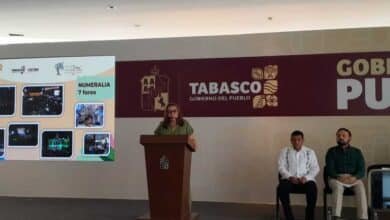 Festival ceiba cierra con Saldo Blanco y convocatoria Masiva