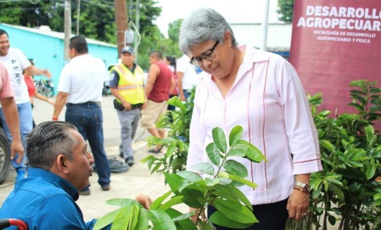 Llama Sedap a sembrar 2.4 millones de árboles este domingo
