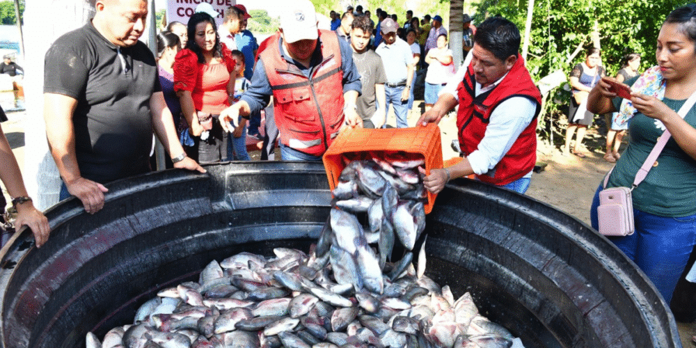 “Pescando Vida” buscará darle el valor agregado
