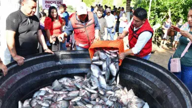 “Pescando Vida” buscará darle el valor agregado