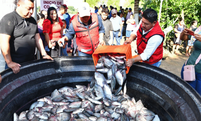 “Pescando Vida” buscará darle el valor agregado