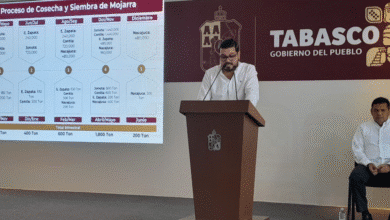 Productores pesqueros duplican los ingresos con acuicultura sostenible