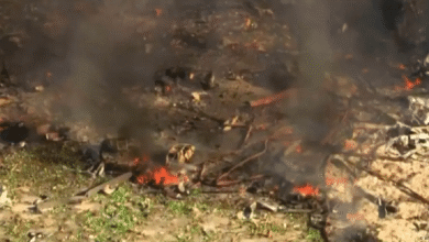 La explosión ocurrida el viernes 10 de octubre de 2025 en la planta de Accurate Energetic Systems cerca de Bucksnort, Tennessee, no dejó sobrevivientes.