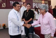 Reduce hasta 30% la Incidencia del Gusano Barrenador