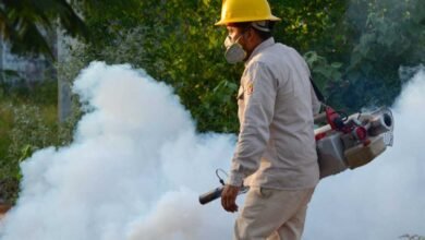 Refuerzan fumigación contra el dengue en escuelas de Tabasco