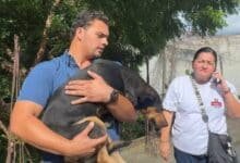Rescatan a perrita víctima de maltrato en Comalcalco