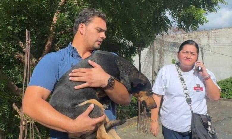 Rescatan a perrita víctima de maltrato en Comalcalco