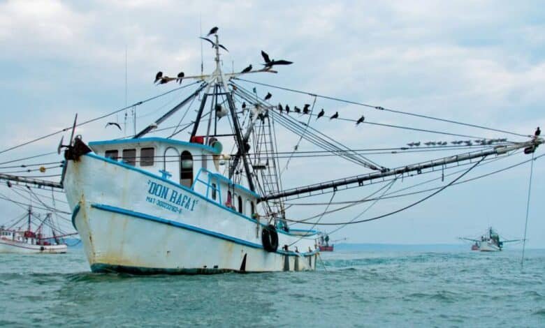 Se extiende veda de camarón en Tabasco