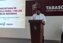 Sembrando Vida suma 20 mil familias y transforma 30 mil hectáreas