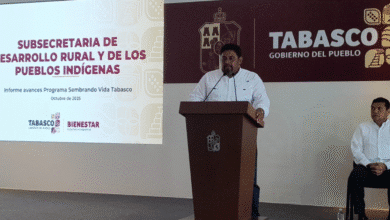 Sembrando Vida suma 20 mil familias y transforma 30 mil hectáreas