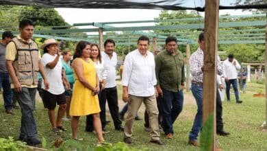 “Sembrando vida” logra abatir desigualdad social