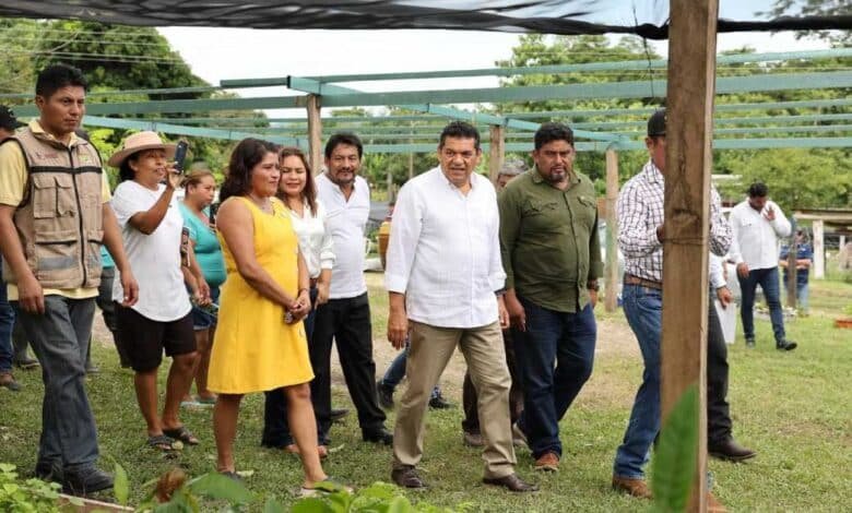 “Sembrando vida” logra abatir desigualdad social