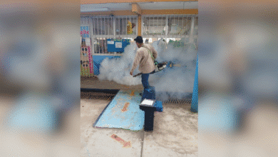 Tabasco le gana la batalla al Dengue y baja del primero al sexto lugar nacional