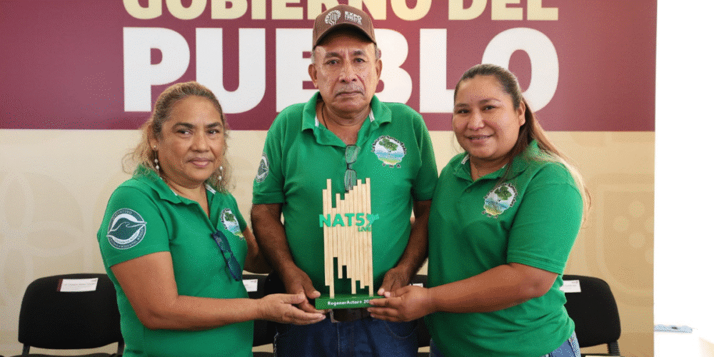 Tabasco lidera la potencia Forestal en la República Mexicana