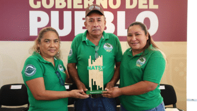 Tabasco lidera la potencia Forestal en la República Mexicana