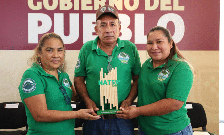 Tabasco lidera la potencia Forestal en la República Mexicana