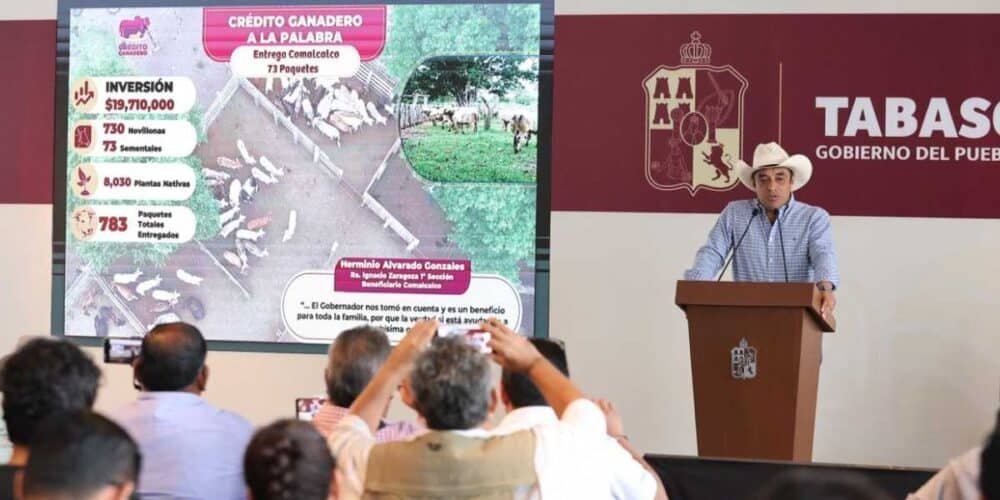 Tabasco referente nacional con más de 215 millones en apoyos productivos