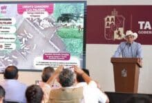 Tabasco referente nacional con más de 215 millones en apoyos productivos