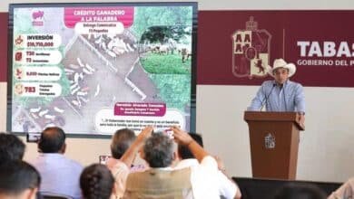 Tabasco referente nacional con más de 215 millones en apoyos productivos