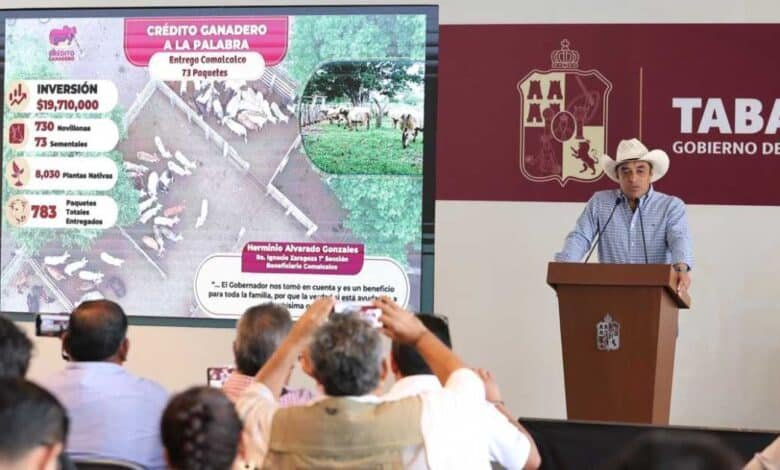 Tabasco referente nacional con más de 215 millones en apoyos productivos