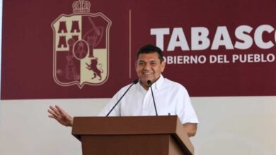 Tabasco supera la meta con más de 2.7 Millones de árboles sembrados