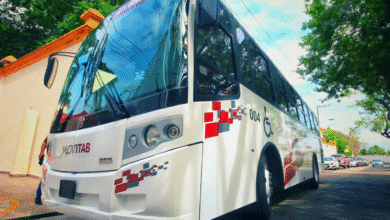 Último Llamado, mañana vence plazo para renovación de concesiones de transporte
