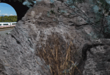Un mensaje ancestral detiene la obra Descubrimiento arqueológico en Hidalgo obliga a desviar la ruta del Tren México-Querétaro (Foto por Francisco Villeda)
