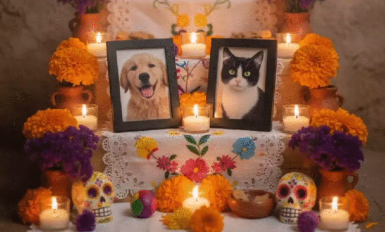 Velas y flores para recordar a las mascotas fallecidas en Tabasco