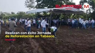 Realizan con éxito Jornada de Reforestación en Tabasco