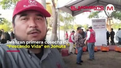 Realizan primera cosecha de “Pescando Vida” en Jonuta