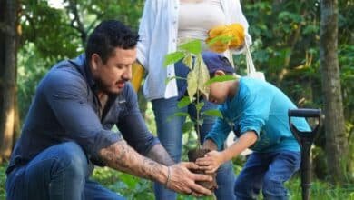 Plantan 204 millones de árboles para “darle un respiro” al planeta