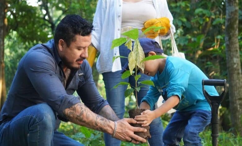 Plantan 204 millones de árboles para “darle un respiro” al planeta