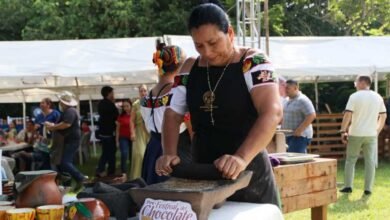 Cacao de Tabasco esquiva la sequía y estabiliza sus Precios