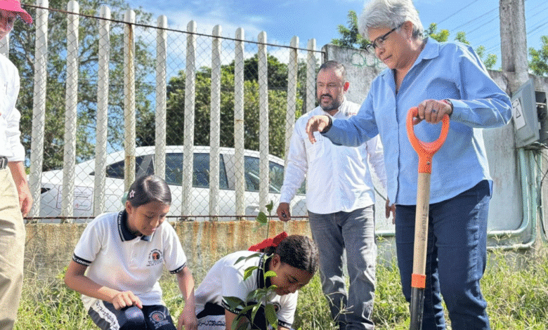 Productores de cacao en Tabasco aseguran un mercado fijo a precios récord de hasta 220 pesos el kilogramo tras el anuncio de la nueva planta procesadora de Chocolate Bienestar, según la titular de Sedap.