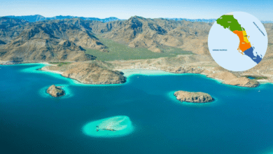 El acuario del desierto Bahía de Concepción, la joya oculta de Baja California Sur