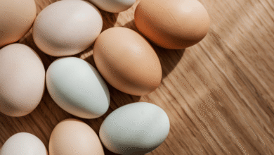 El consumidor mexicano impulsa una revolución ética en la industria del huevo