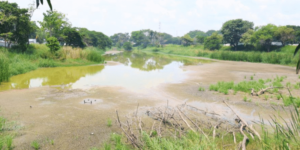 Laguna El Sacrificio se recupera con las lluvias y reafirma su papel como vaso regulador en Villahermosa