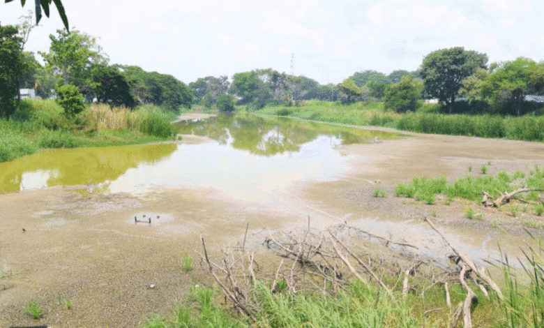 Laguna El Sacrificio se recupera con las lluvias y reafirma su papel como vaso regulador en Villahermosa