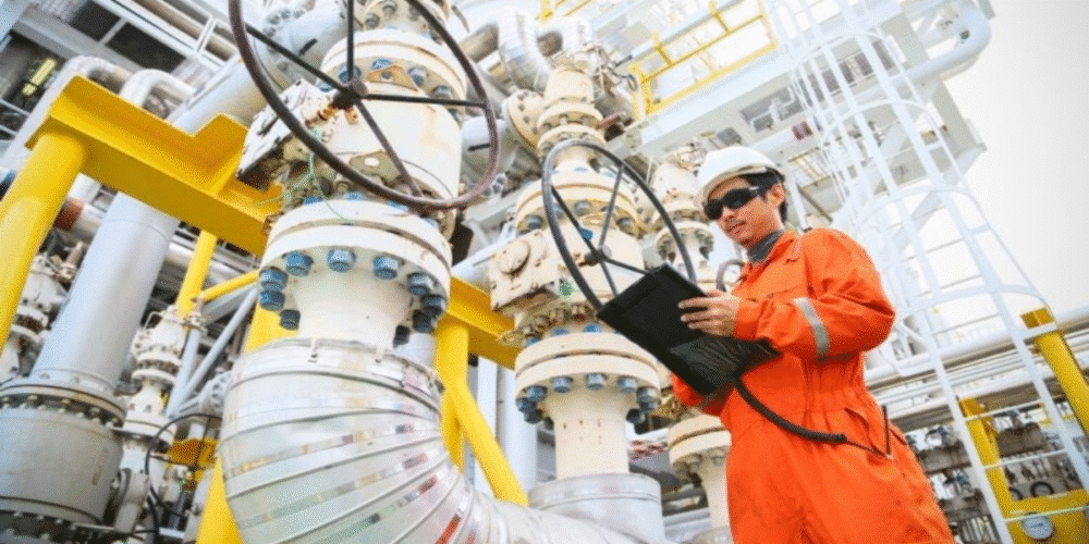 Lanzan programa de formación especializada