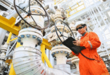 Lanzan programa de formación especializada