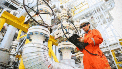 Lanzan programa de formación especializada