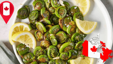 Más allá del Poutine Fiddleheads, el tesoro de Canadá que solo se come en primavera