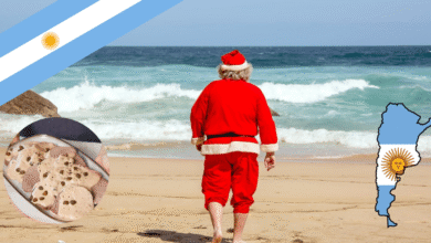 Navidad bajo el sol Vitel Toné y fuegos artificiales, el sorprendente festejo de Argentina (Foto por Online Spanish Classes San Diego Culture & Language Center)