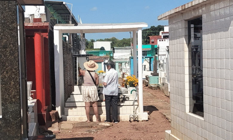 Panteones se Visten de Fiesta Miles Honran a sus Muertos con Música, Flores y el Tradicional Sabor del Reencuentro