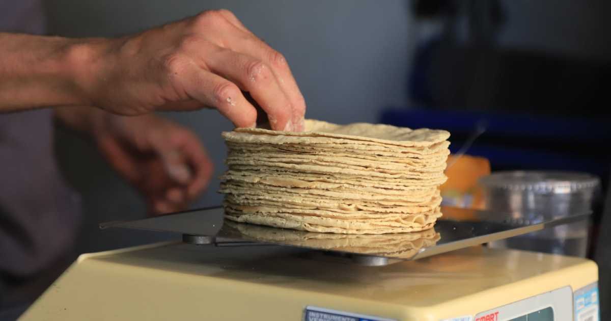 Kilo de tortilla supera los 30 pesos y anticipan aumentos en 2026