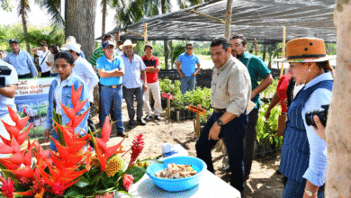 Presidenta Claudia Sheinbaum oficializará apoyo a la producción del cacao en Tabasco en su próxima visita, confirma Javier May