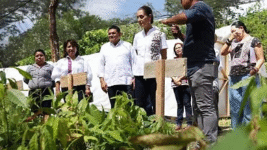 Presidenta visitará Festival del Chocolate en Tabasco tras supervisar obras y programas clave en Campeche
