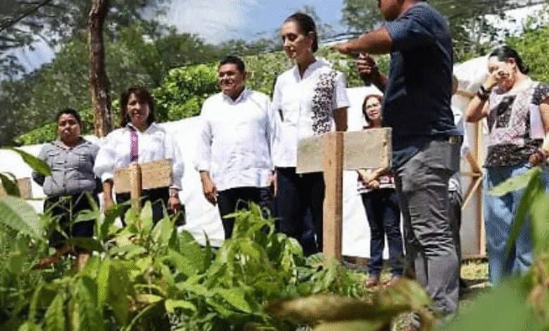 Presidenta visitará Festival del Chocolate en Tabasco tras supervisar obras y programas clave en Campeche