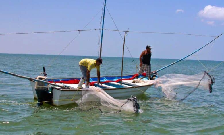 Producción pesquera en Tabasco sube más de 20 mil toneladas