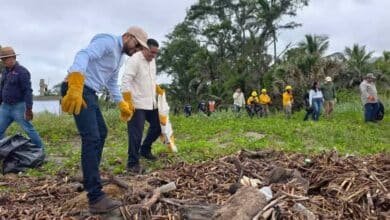 Realizan limpieza de la zona costera en Tabasco, para el saneamiento de playas
